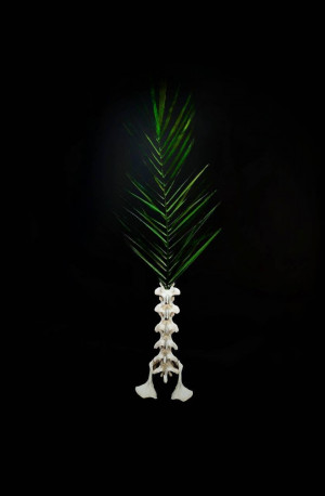 Wonderful vase made of real bones
