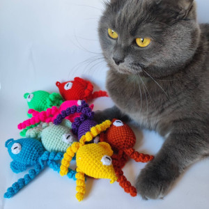 Fish catnip toy with rattle Sound cat toys Set of 3