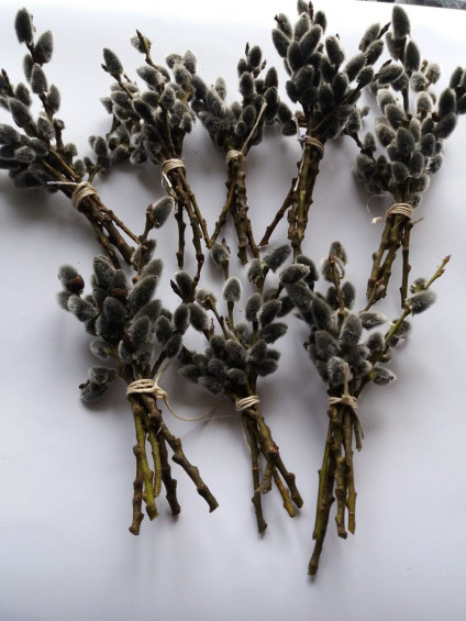 Dried Pussy willow branches.Twigs Catkins,Spring decor,easter decor,pussywillow  stems,dried flower bouquet,real pussy willow,easter willow 28670 in online  supermarket