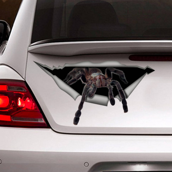 Spider car decal, funny car decal, spider sticker , car decoration, 3D ...