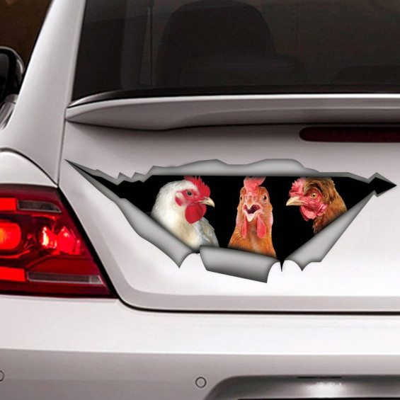 chickens sticker, chickens magnet, Chicken car decal, funny sticker