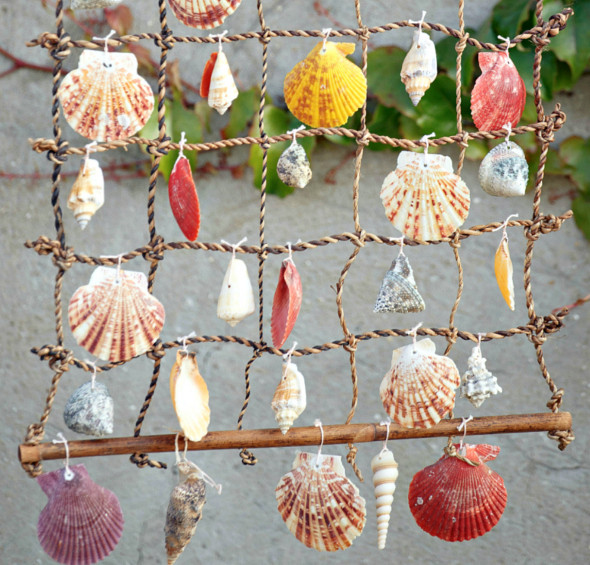 Decorative Seashells - Buy Decorative Seashells Online Starting at