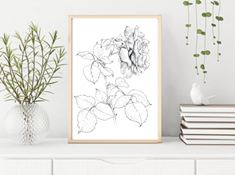 Rose Sketch, Botanical Print, June birth flower, JPEG, black white grey ...