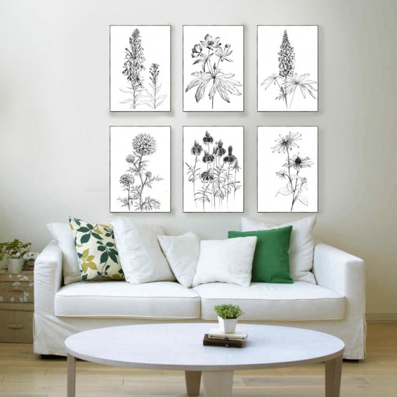 Set 6, American wildflowers, black white sketch, coloring page ...