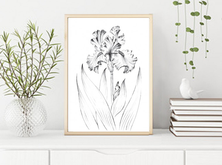 Iris flower sketch, living room art, large print, clip art, line ...