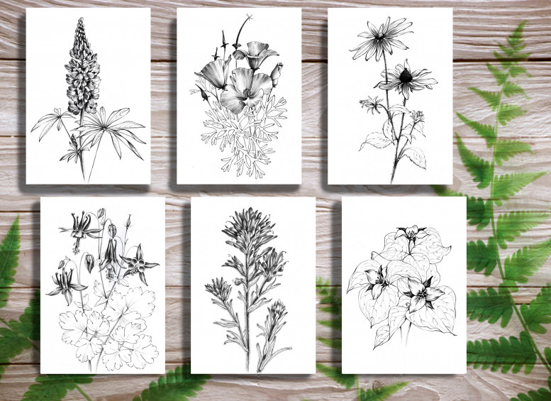 Handdrawn Wildflower Stickers | Art Board Print