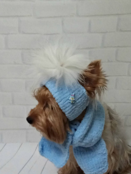 small dog hats scarf for dog crochet knitted dog hat warm dog hat crochet dog  hat chihuahua hats pet hat puppy hat knit Pet Fashion pet gift 10682 in  online supermarket